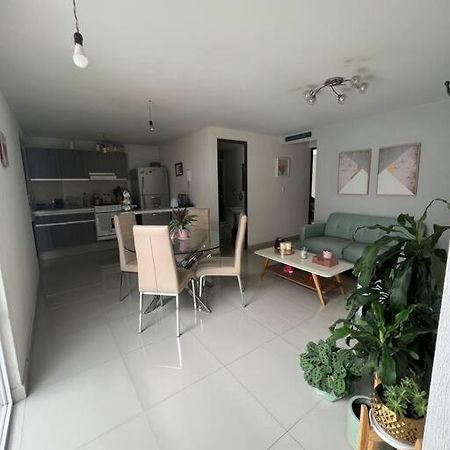 מקסיקו סיטי Departamento En Coyoacan מראה חיצוני תמונה
