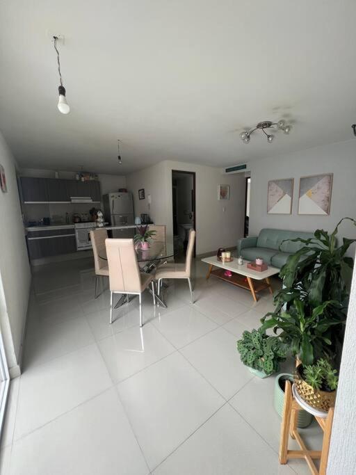 מקסיקו סיטי Departamento En Coyoacan מראה חיצוני תמונה